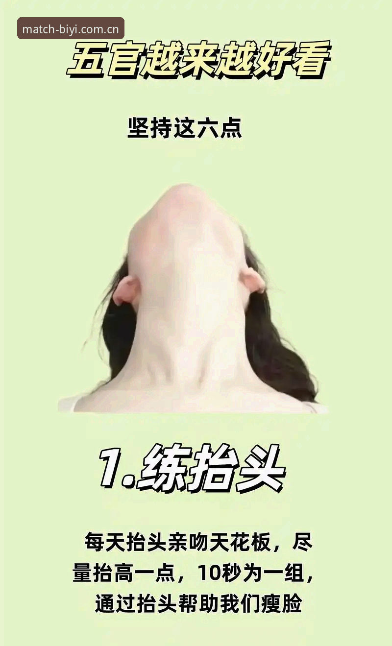 6个关键维度深度评测：必一体育手机版对比指南
